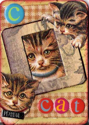 Why "Cats and All"?